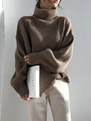 Chunky Turtleneck Knit Sweater